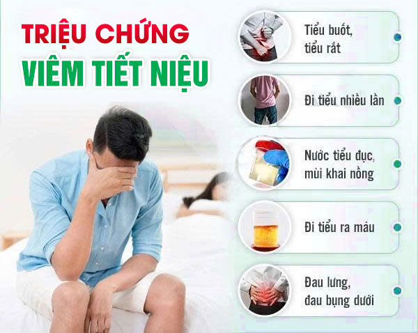 Viêm Đường Tiết Niệu Cách Chữa Hiệu Quả